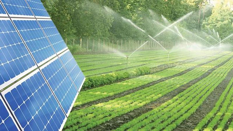 Công nghệ năng lượng mặt trời trong lĩnh vực nông nghiệp